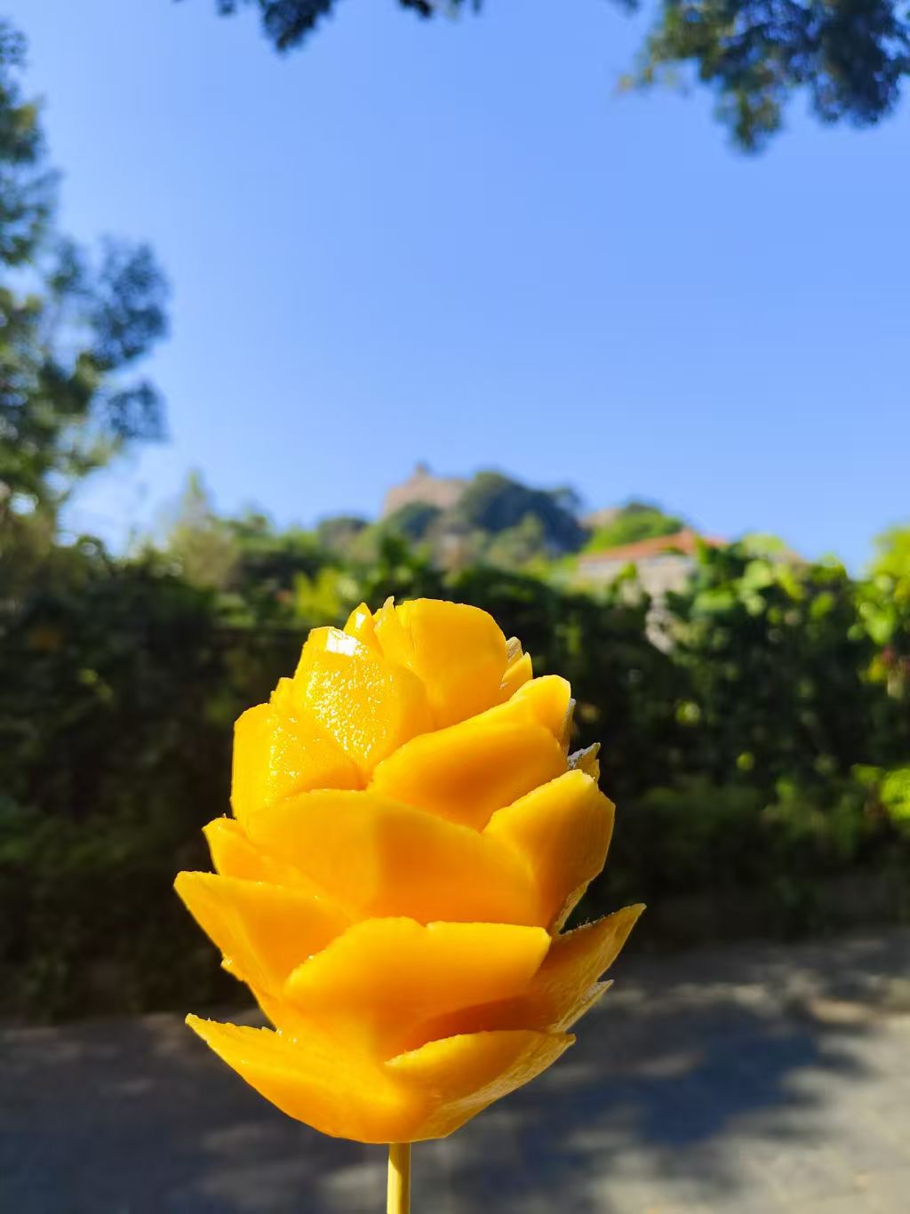 Fresh retail mango flower-style presentation with perfect shelf appearance